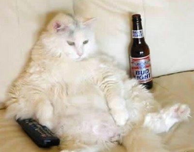 From: http://www.jenniferhudson.com/us/photos/my-lazy-cat