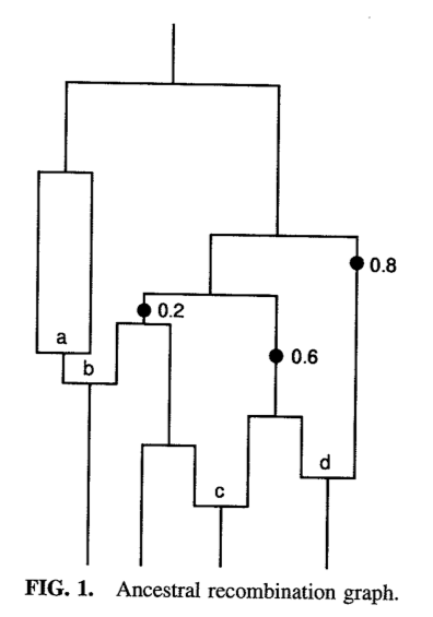 arg